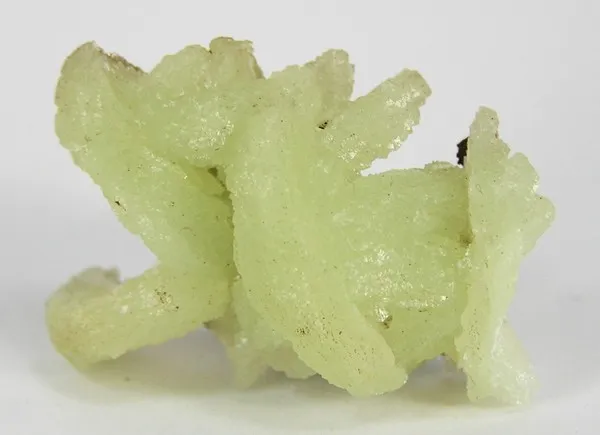 Adamite image