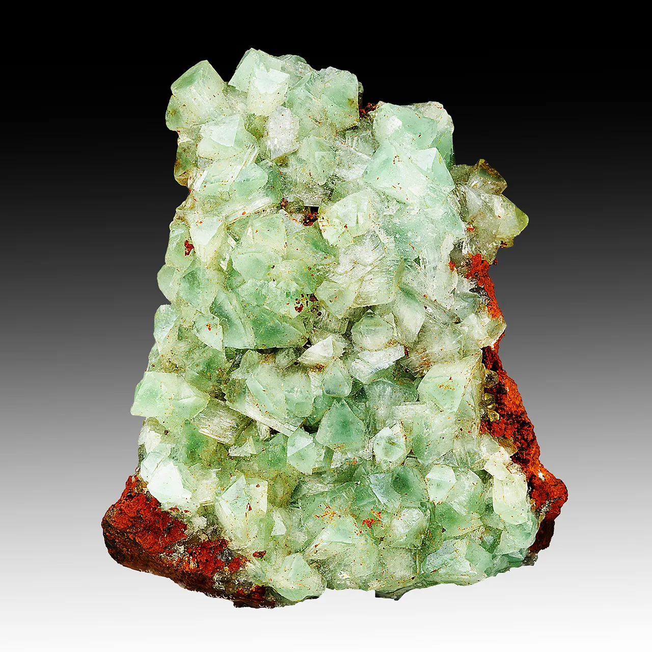 Adamite - image 1