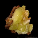 Adamite - image 5