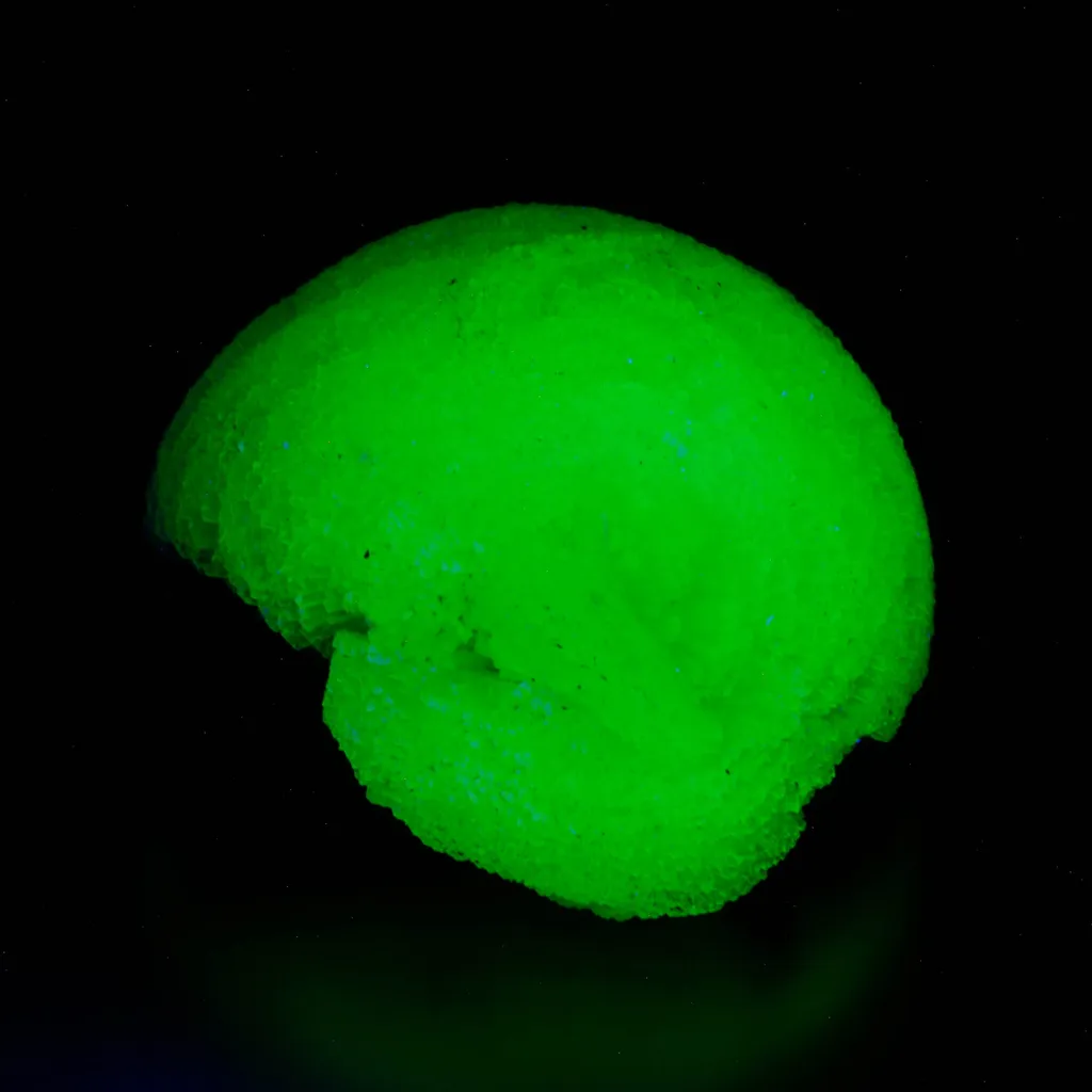 Adamite - image 2