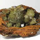 Adamite - image 2
