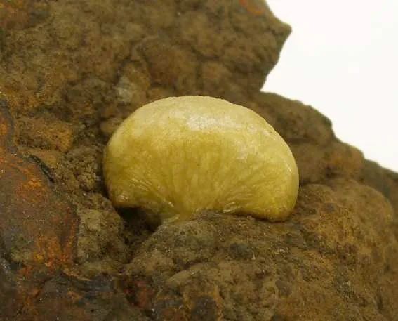 Adamite - image 4