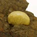 Adamite - image 4
