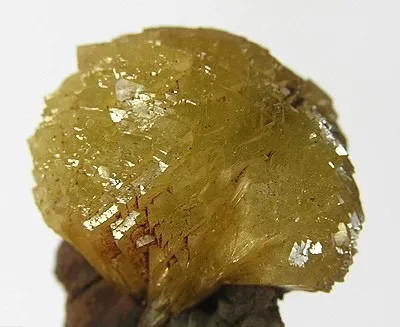 Adamite - image 2