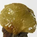 Adamite - image 2