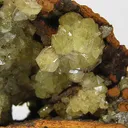 Adamite - image 1