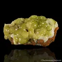 Adamite - image 1