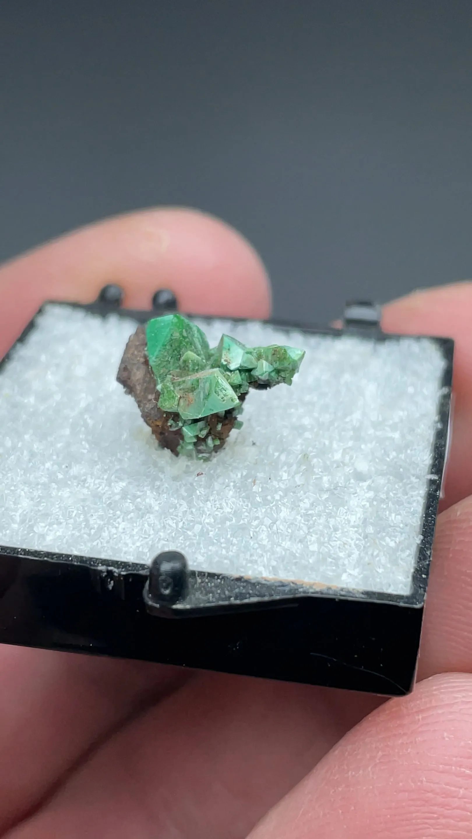 Adamite - image 2