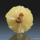 Adamite - image 2