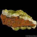 Adamite - image 2