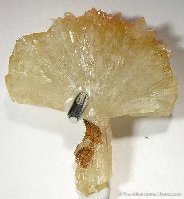Adamite - image 2