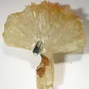 Adamite - image 2