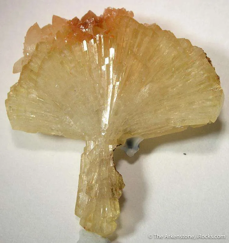 Adamite image