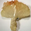 Adamite - image 1