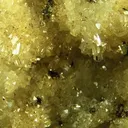 Adamite - image 2