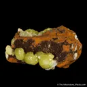 Adamite - image 3