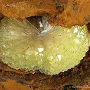 Adamite - image 2