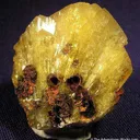 Adamite - image 1