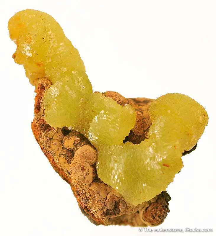 Adamite image