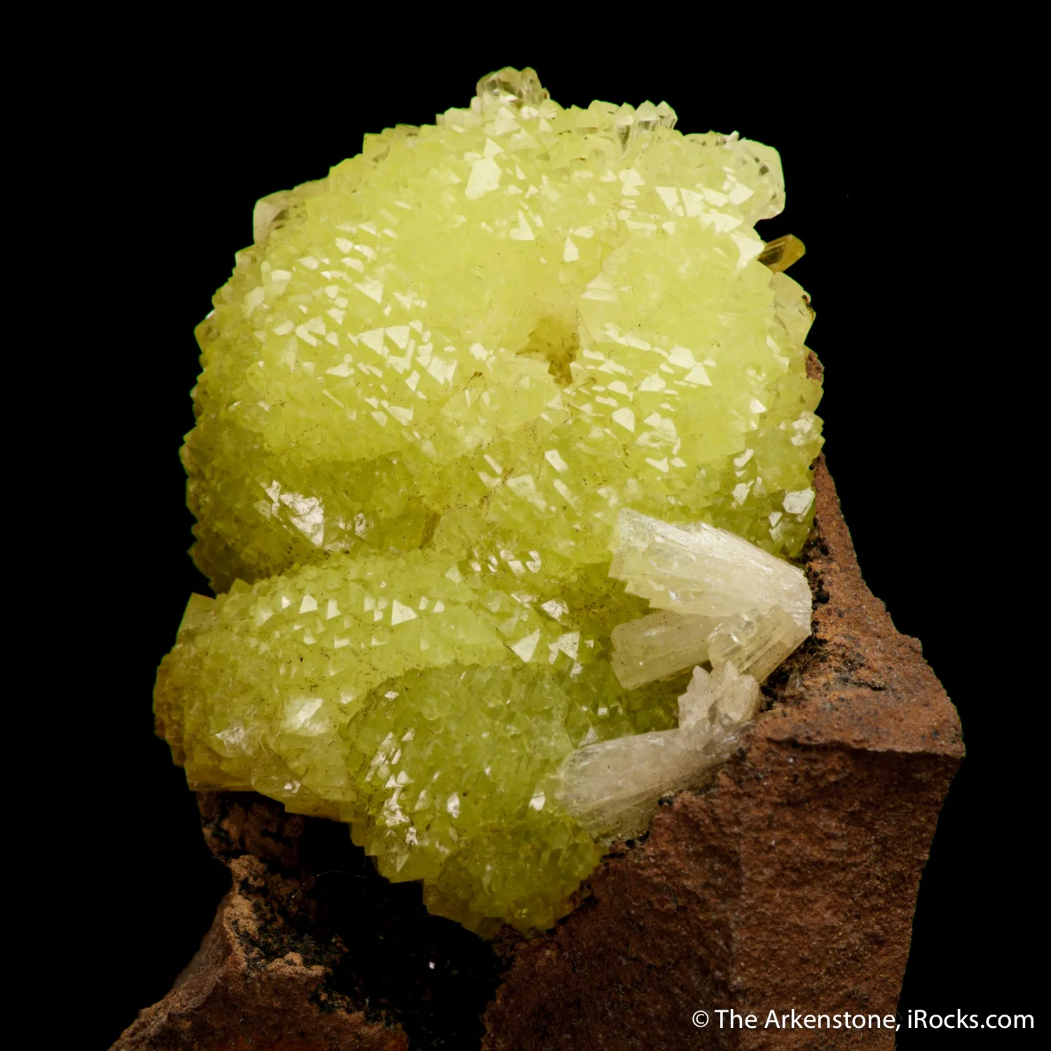 Adamite - image 4