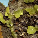 Adamite - image 4
