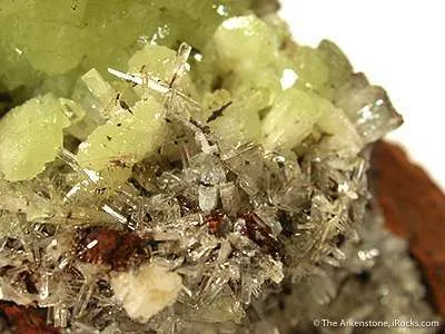 Adamite - image 2