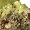 Adamite - image 2