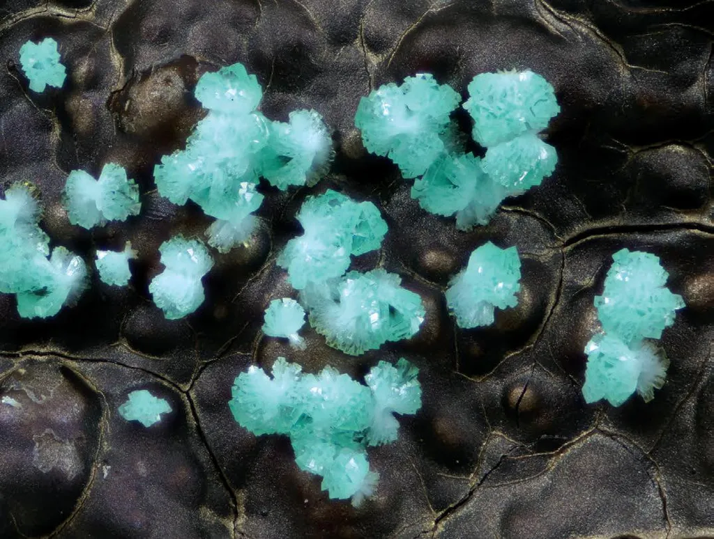 Adamite image