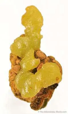 Adamite - image 3