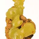 Adamite - image 3