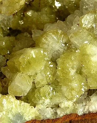 Adamite - image 2
