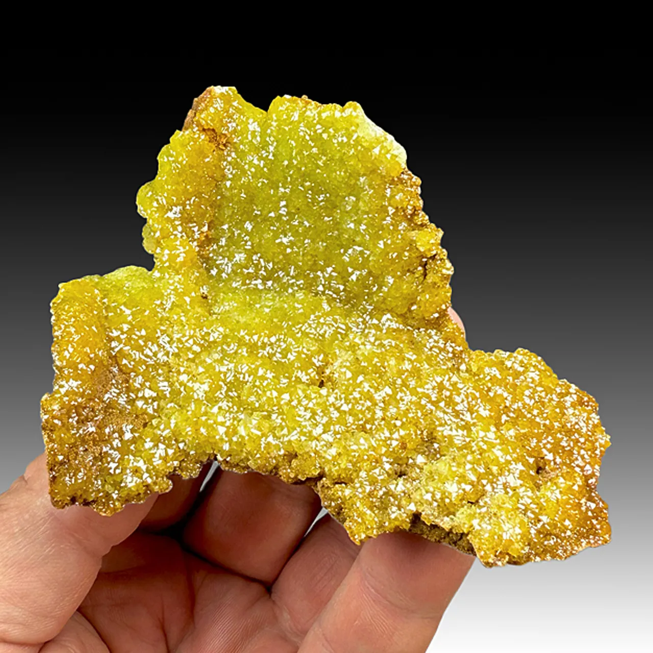 Adamite - image 1