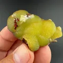 Adamite - image 1