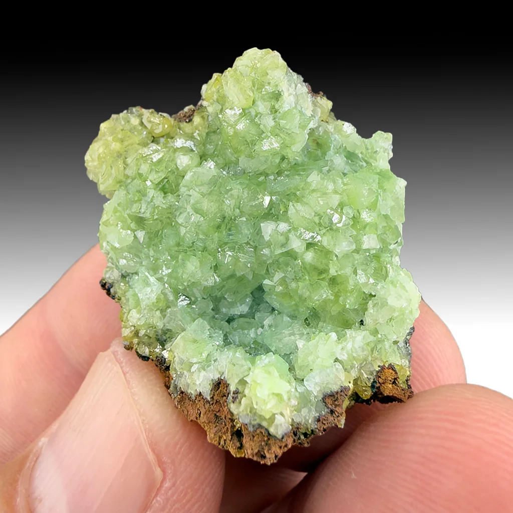 Adamite - image 1
