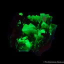 Adamite - image 6