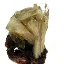 Adamite - image 1