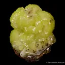 Adamite - image 1