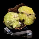 Adamite - image 2