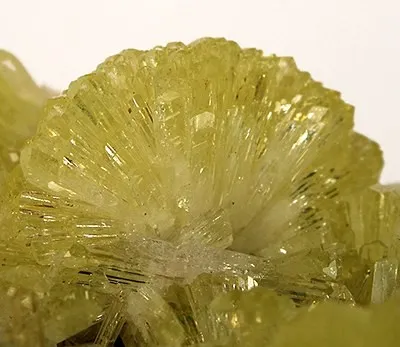 Adamite - image 2