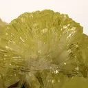 Adamite - image 2