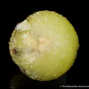 Adamite - image 1