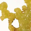 Adamite - image 2