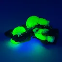 Adamite - image 3