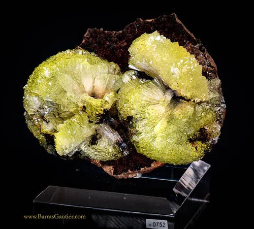 Adamite image