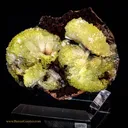 Adamite - image 1