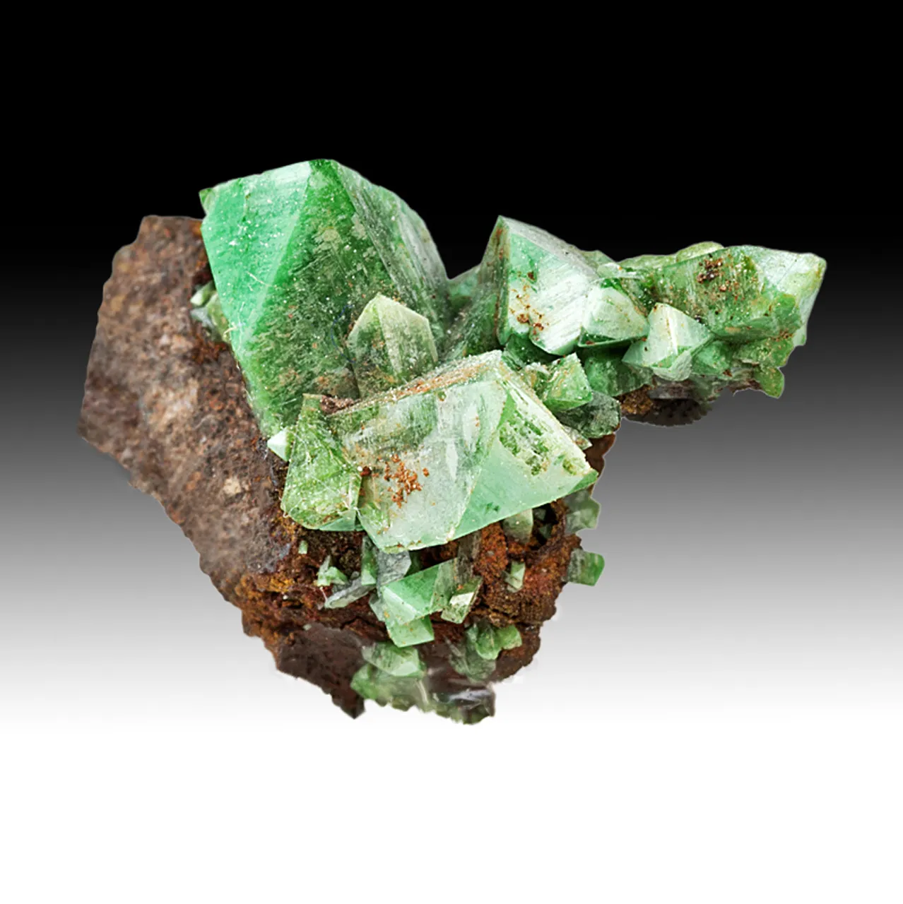 Adamite - image 1
