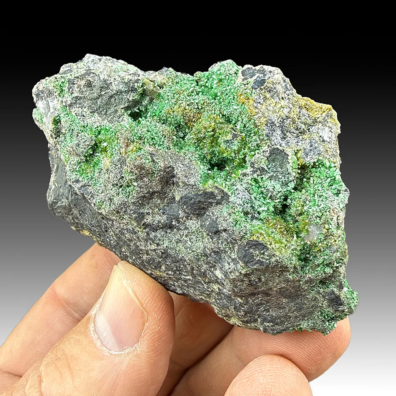 Adamite - image 1