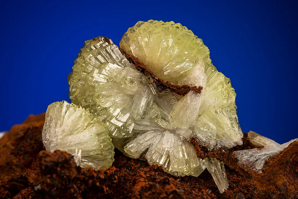 Adamite - image 2