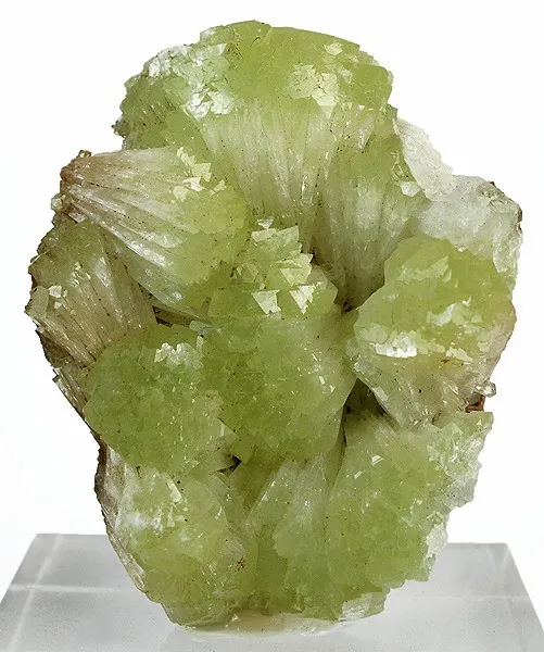 Adamite image