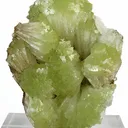 Adamite - image 1